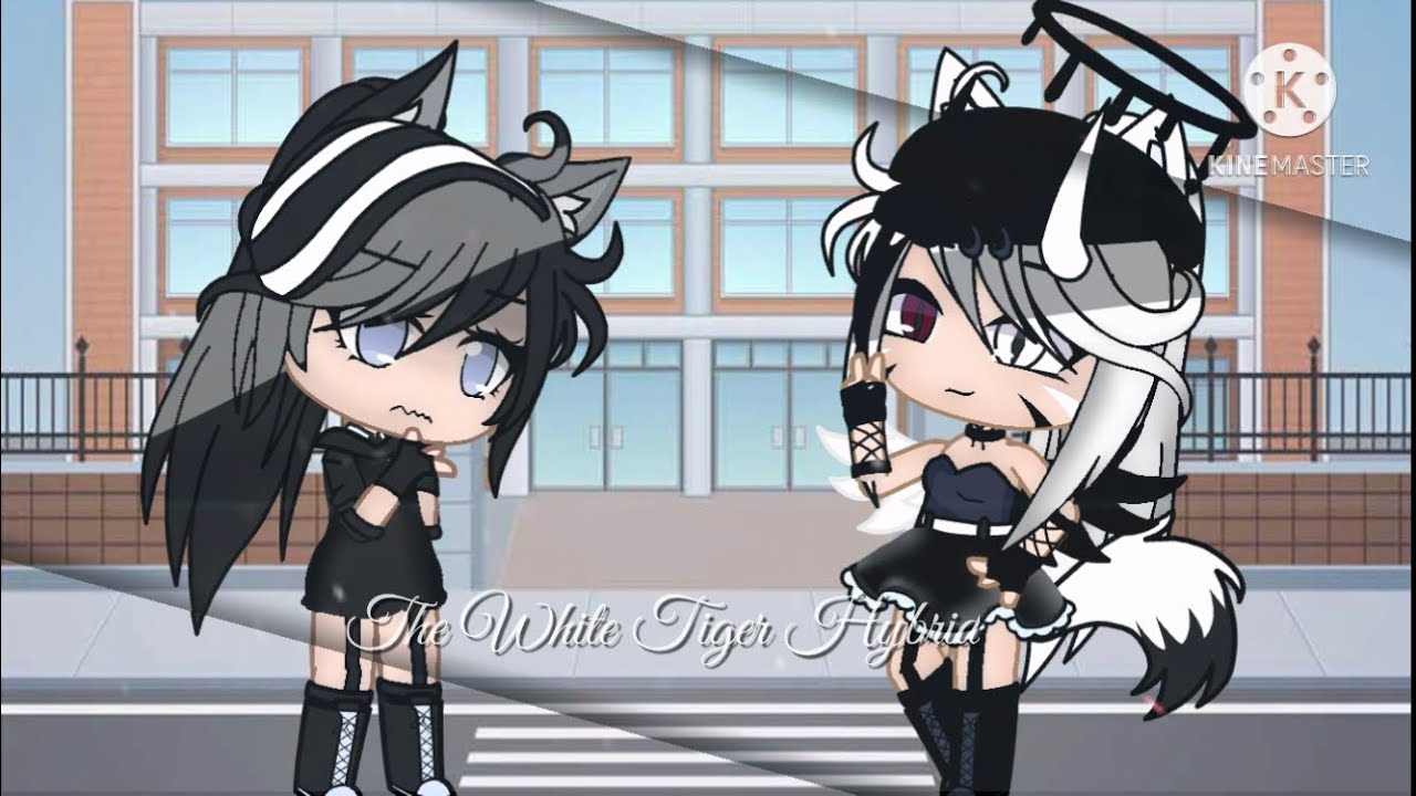 The White Tiger Hybrid/GLMM/GCMM