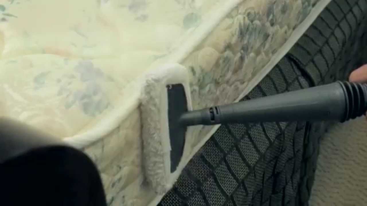 Vapamore MR-75 Amico For Killing Bed Bugs