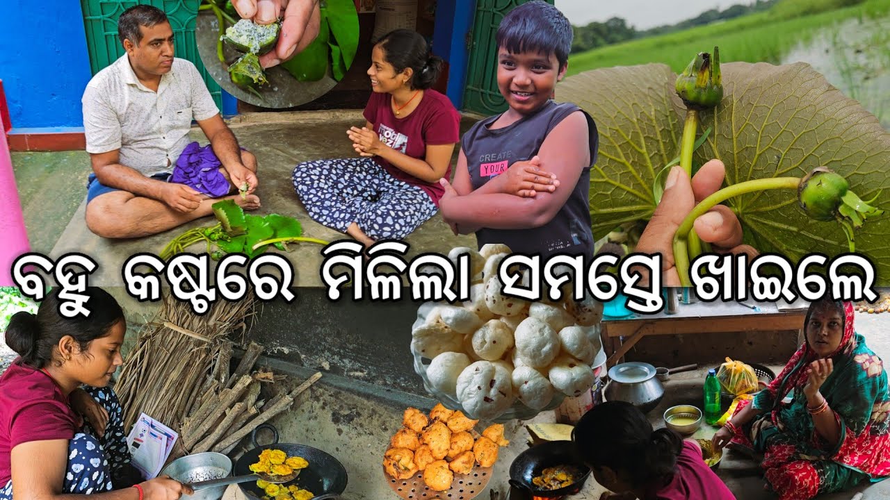 ବହୁ କଷ୍ଟରେ ଖୋଜି ଖୋଜି ମିଳିଲା ସମସ୍ତେ ଖାଇଲେ 😋 l Gouranga Nayak Odia Vlogs 