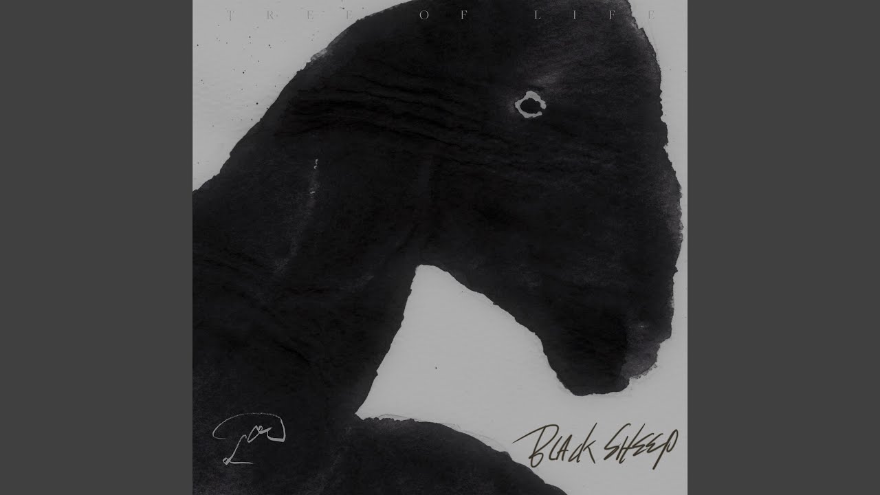Black Sheep