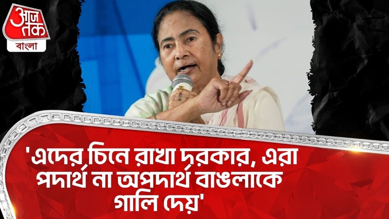 'এদের চিনে রাখা দরকার, এরা পদার্থ না অপদার্থ বাঙলাকে গালি দেয়' |  Mamata Banerjee | BJP | PN