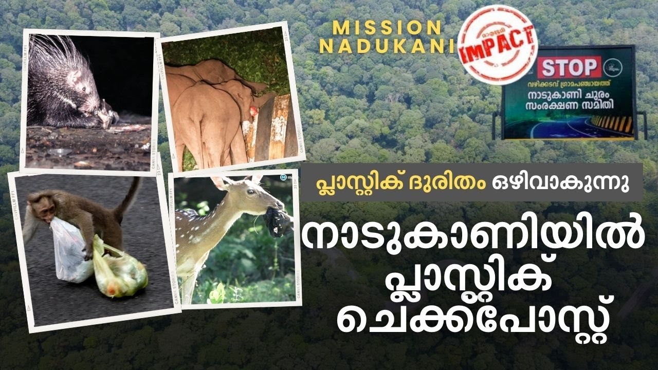 ഒറ്റ ദിവസം മാത്രം ശേഖരിച്ചത് 1000 കിലോ പ്ലാസ്റ്റിക്, ഒടുവില്‍ കണ്ണ് തുറന്ന് അധികൃതര്‍| Nadukani