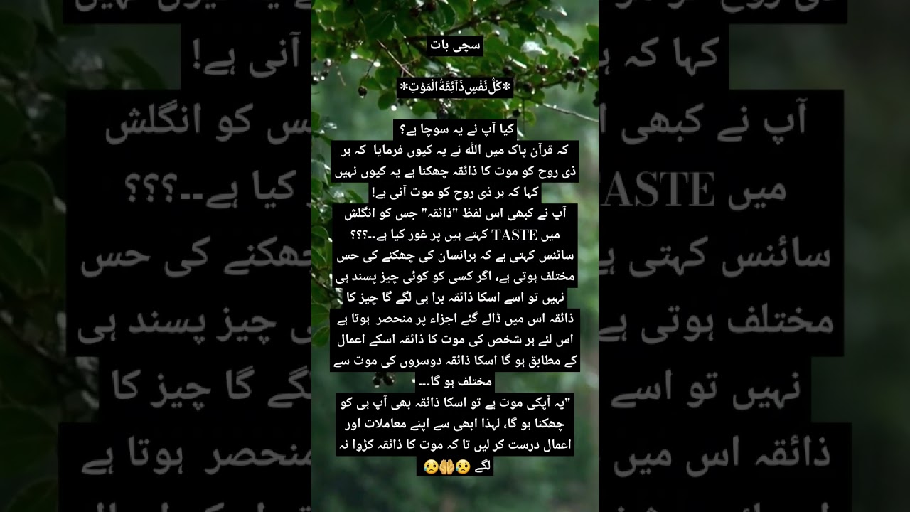Mout ka zaiqa 🤲😥 
