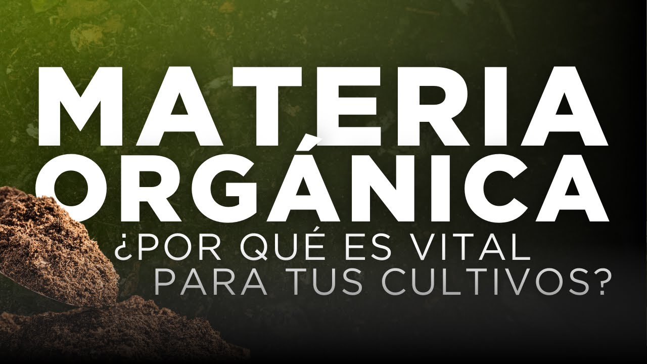Materia orgánica: Claves para un suelo más saludable