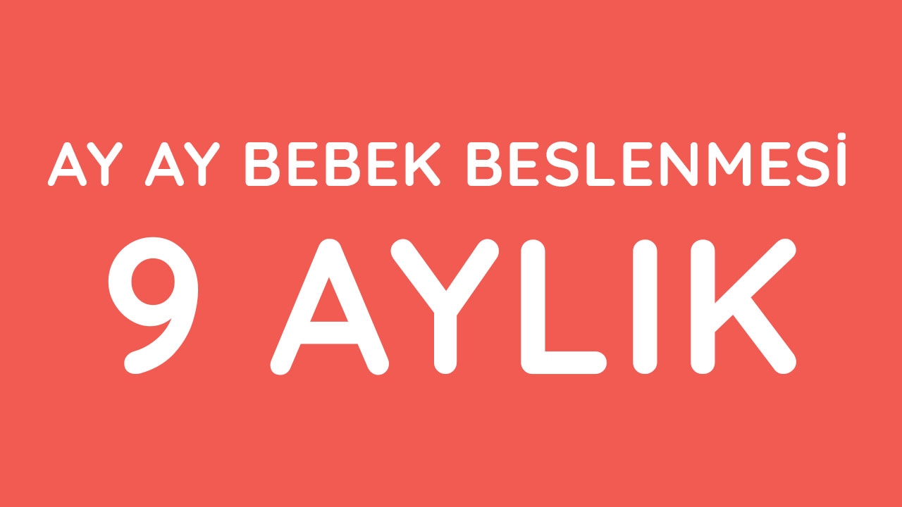 9 Aylık Bebek Beslenmesi