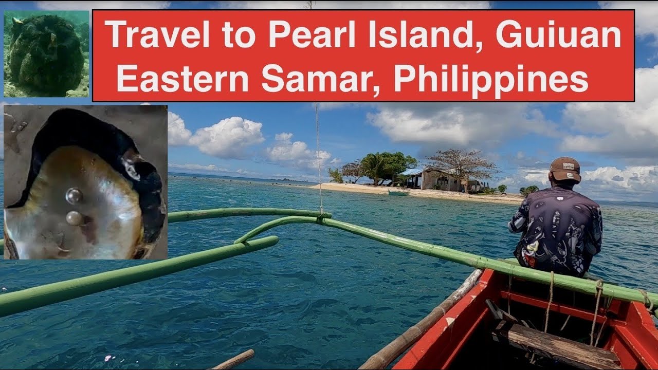 PEARL ISLAND PHILIPPINES |  HOME of CULTURED PEARLS in GUIUAN EASTERN SAMAR  #pearls #guiuan