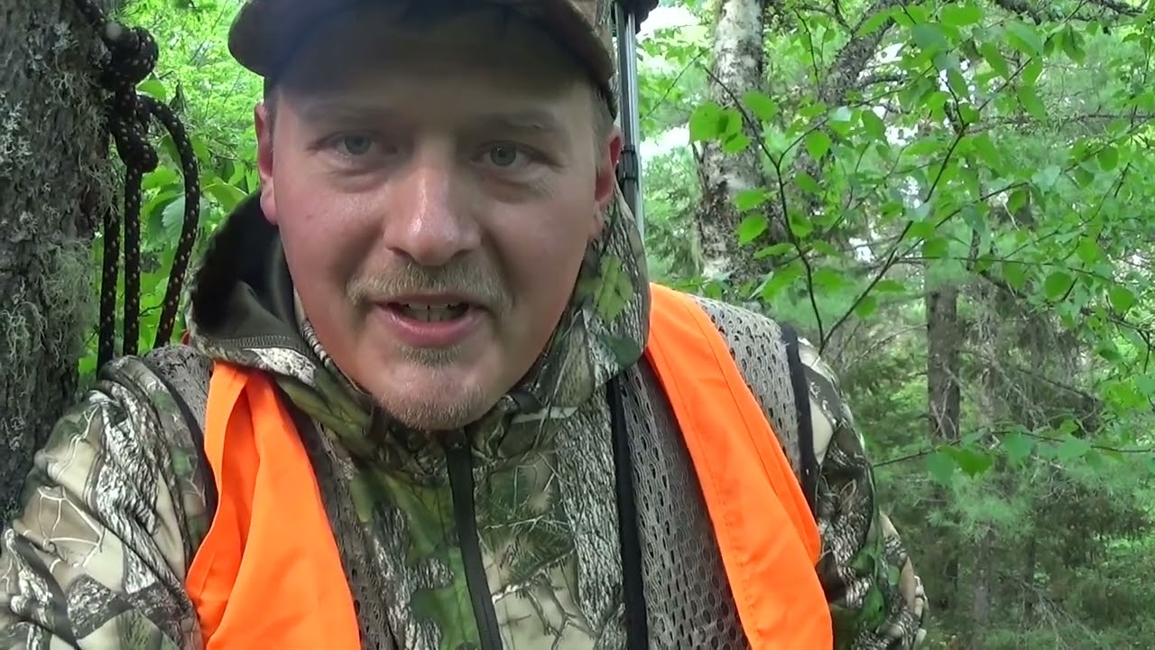 Troy Quebec Bear Hunt