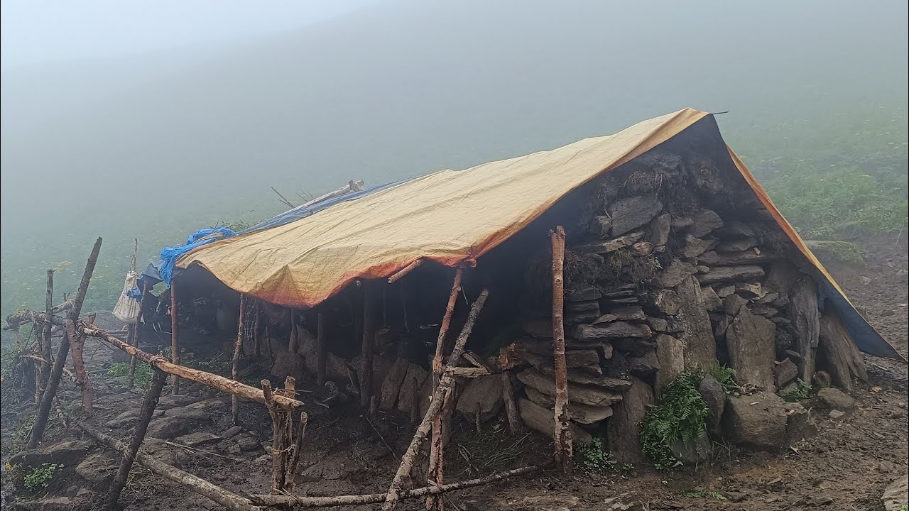 This is Himalayan Life | Nepal | Ep-222 | Shepherd Life in Rainy Season | himalayan Village Life