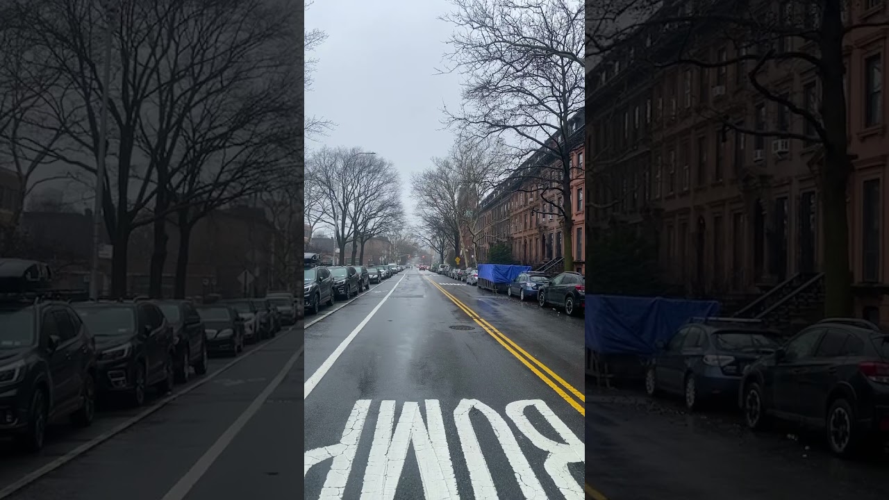Dekalb Ave brooklyn #newyorcity #2024 #newyork #winter