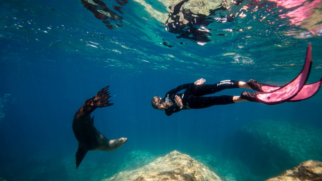 Diving in La Paz, Mexico