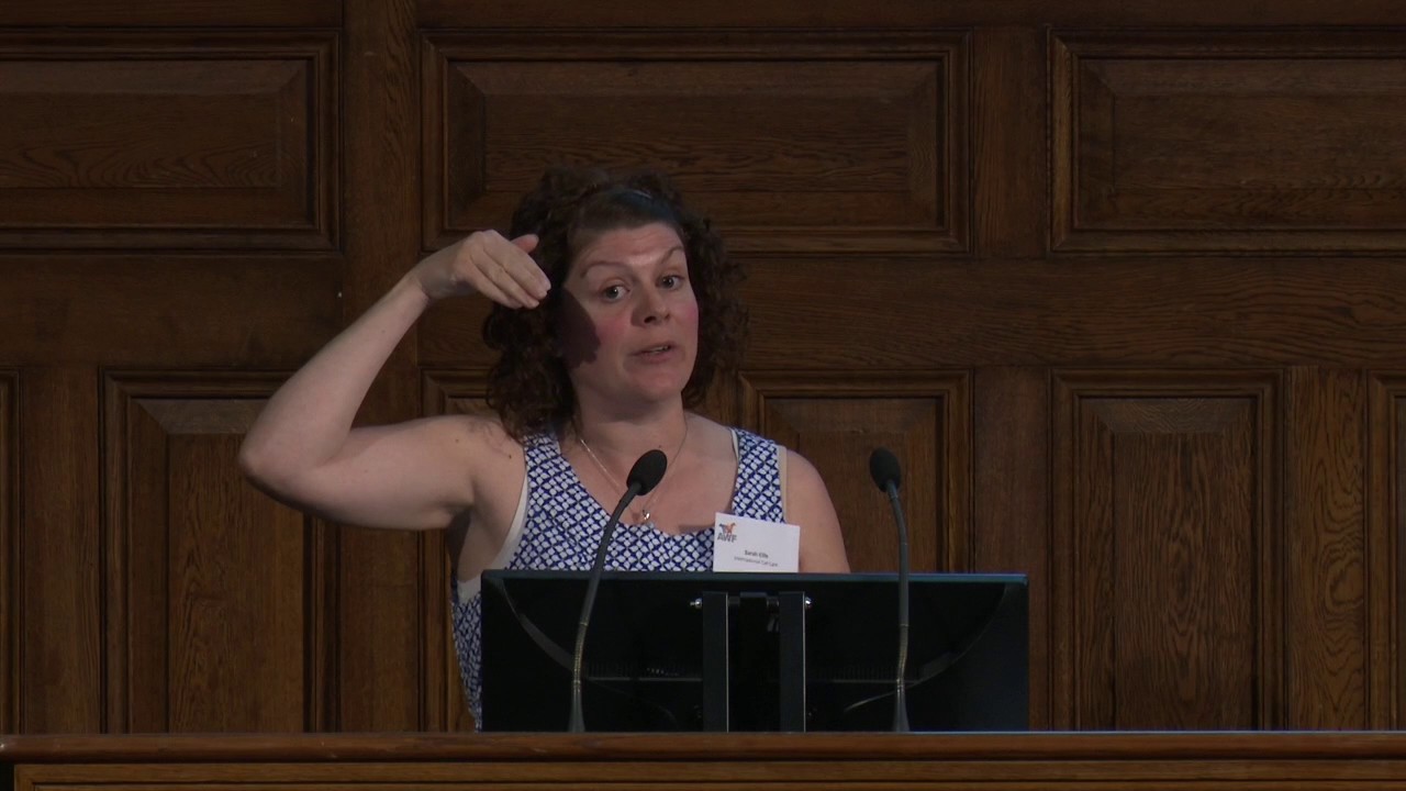 Is modern life incompatible with pet ownership? - Part two