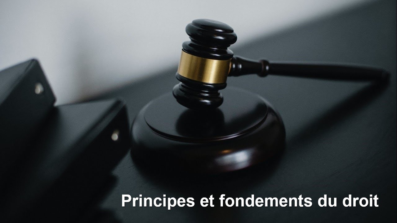 Principes et fondements du droit