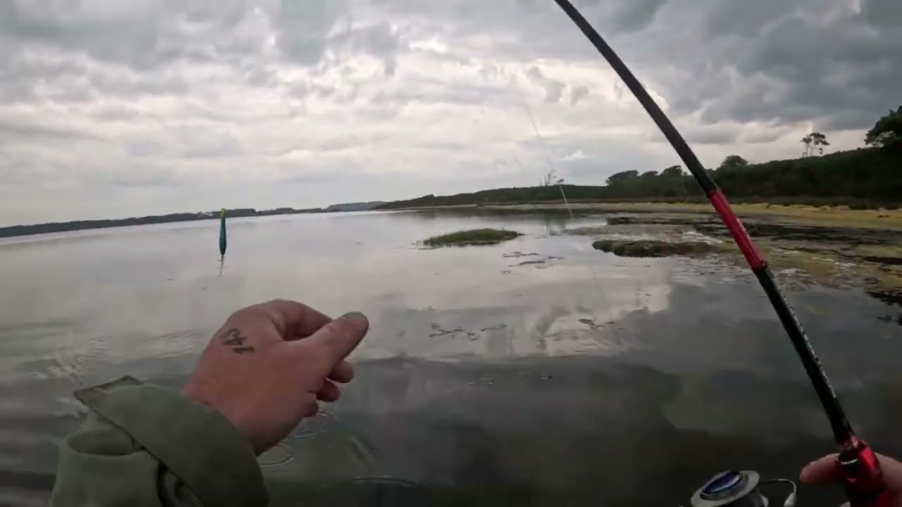 bass fishing, lure fishing for bass, fishing dorset