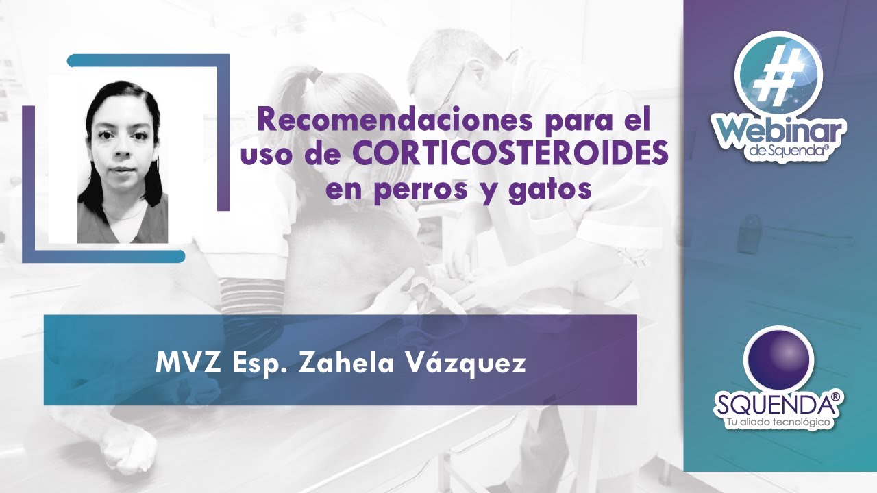 Recomendaciones Para El Uso De Corticosteroides En Perros Y Gatos  - Mvz Esp. Zahela Vázquez