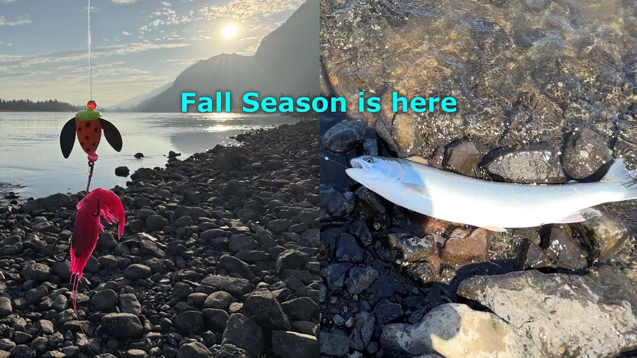 Fall Season Chinook and Steelhead plunking Columbia River system