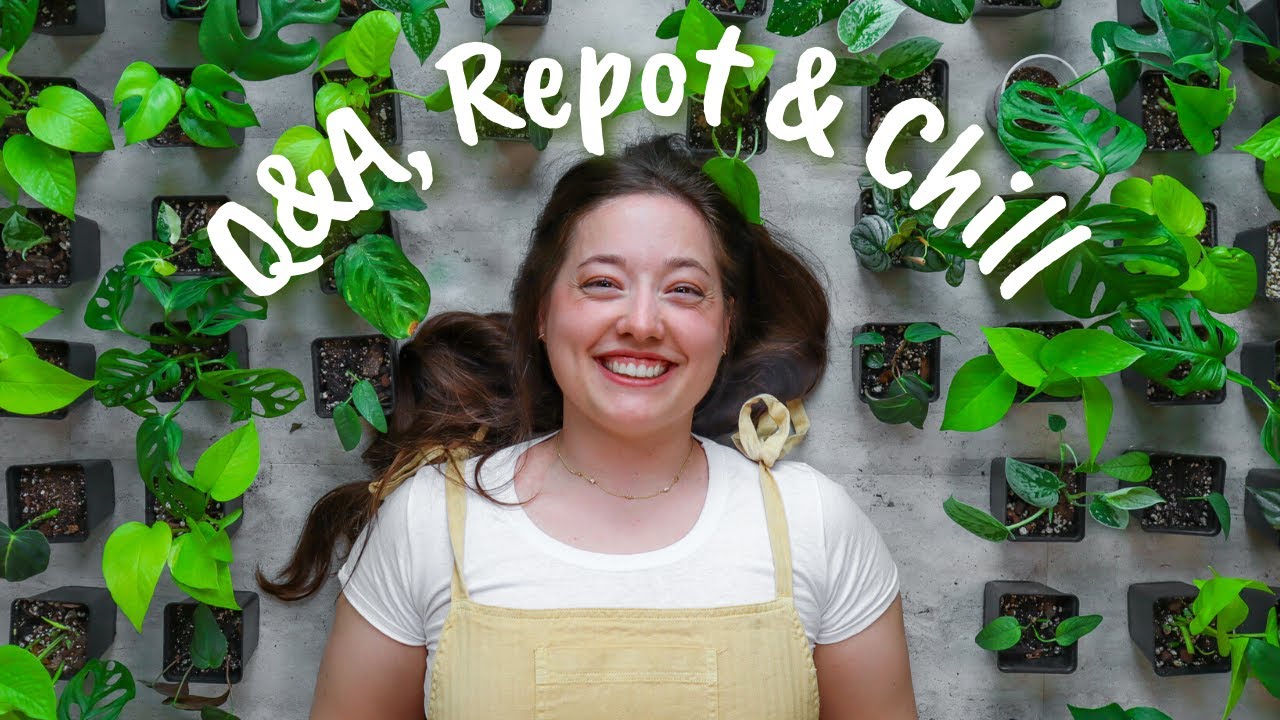 Potting up over 100 Plant Cuttings in a Day | + Q&A