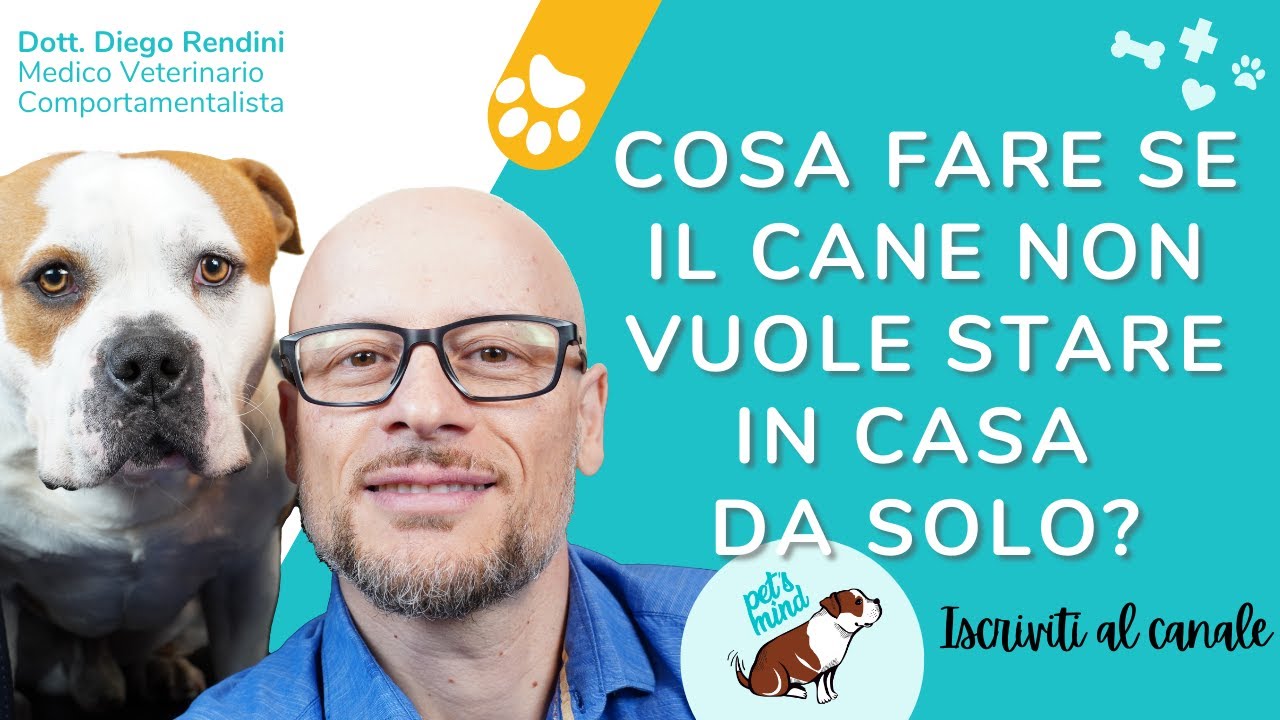 Cosa fare se il cane non vuole stare in casa da solo?