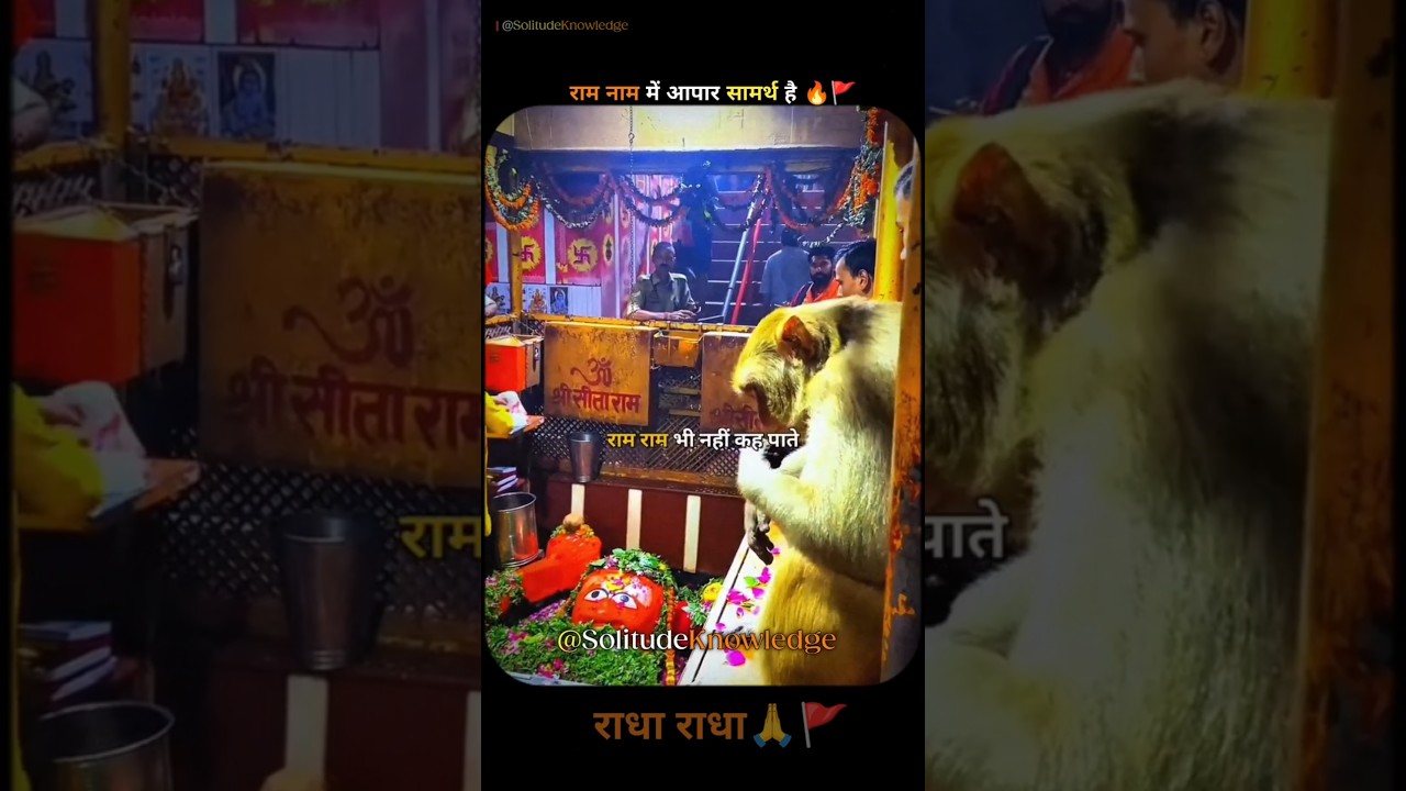 महराज जी मै बहोत संचय में हु 🙏🚩 Premanand Ji Maharaj