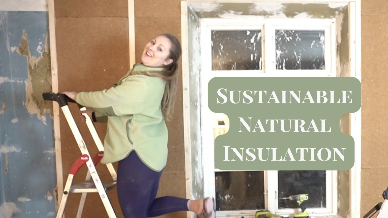 E22 Major Improvement - Insulating the Guest Bedroom