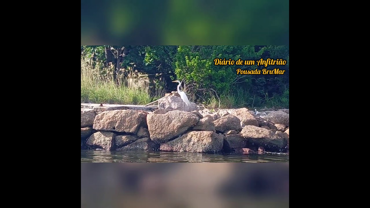 Uma Ilha abandonada na Baia de Guanabara.
