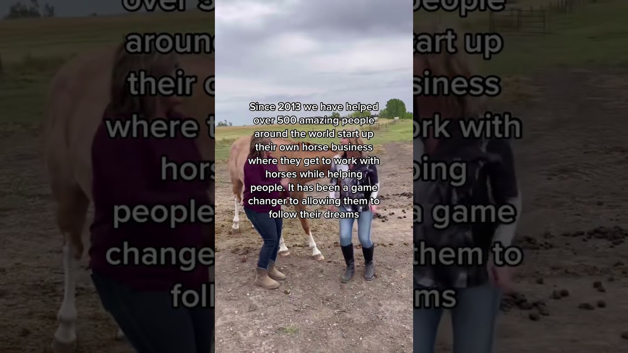 Here's how to start a career with horses!