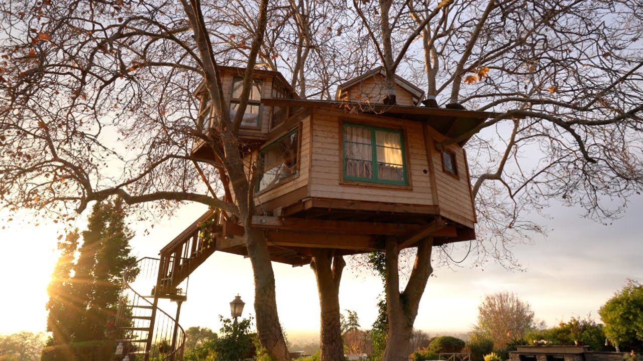 Living in a Treehouse Mansion -Treehouse Tour (1 bath, 2 bed, 3 trees)