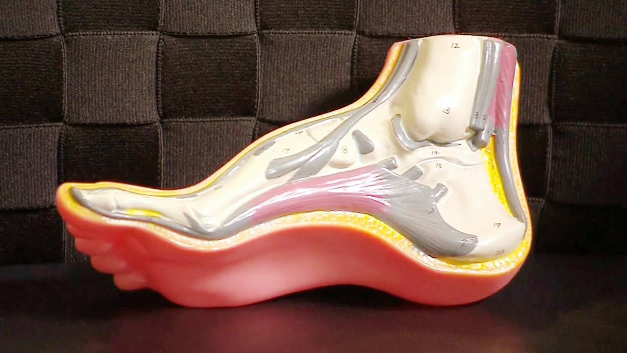 ¿Por qué se hinchan los pies? El Dr. Rivera te lo explica | Despierta América