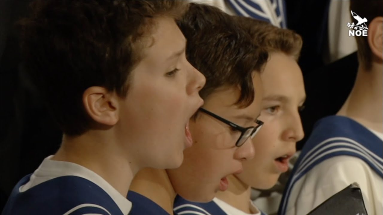 Monteverdi: Laudate Pueri  - Zürcher Sängerknaben (Zurich Boys' Choir)