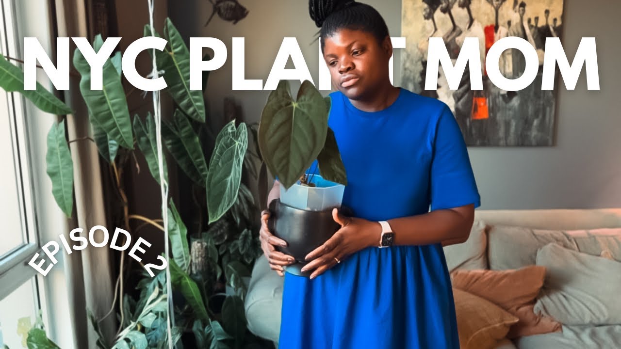 Life of an NYC Plant Mom | A quick trip, errands and plant chores!