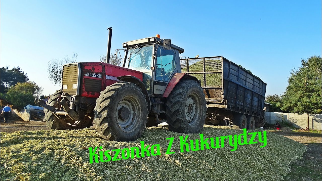 Kiszonka Z Kukurydzy | Na 6 Ciągników | Jesień 2017 | 2x MF 2x Same Renault 2x Ursus Claas ||