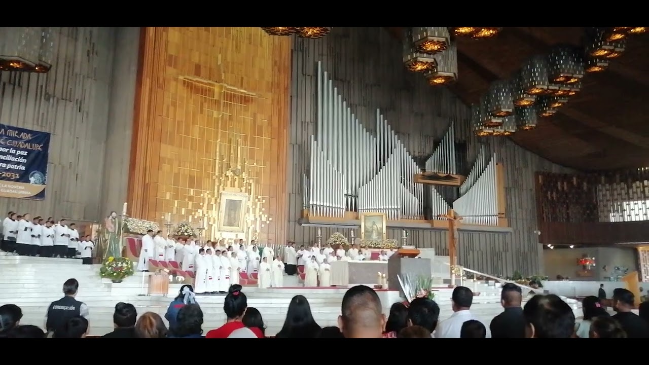 Peregrinacion Anual Basílica de Guadalupe - Diócesis de Coatzacoalcos (Julio 09, 2024)
