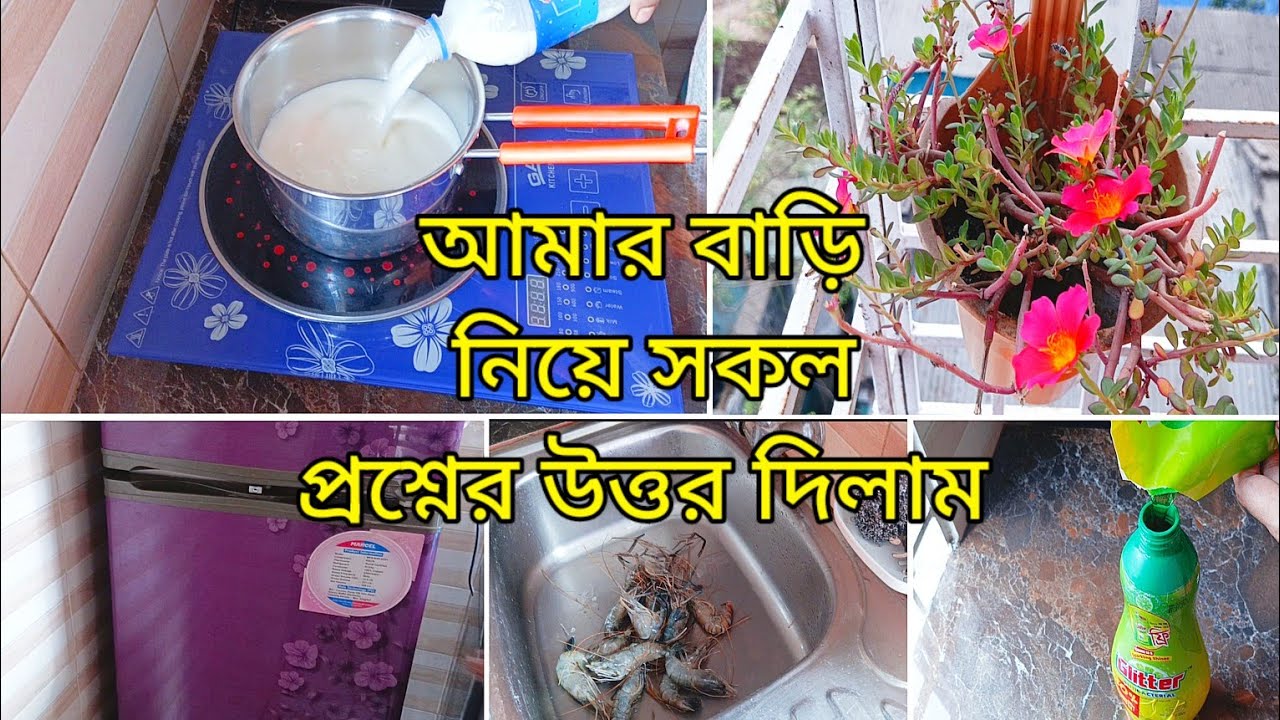 আমরা কার বাড়িতে থাকি?||🤔আমি কোন এলাকায় থাকি?||🤔কয় রুমের বাসা আমার || Vlog video