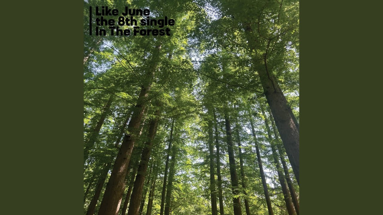 In The Forest