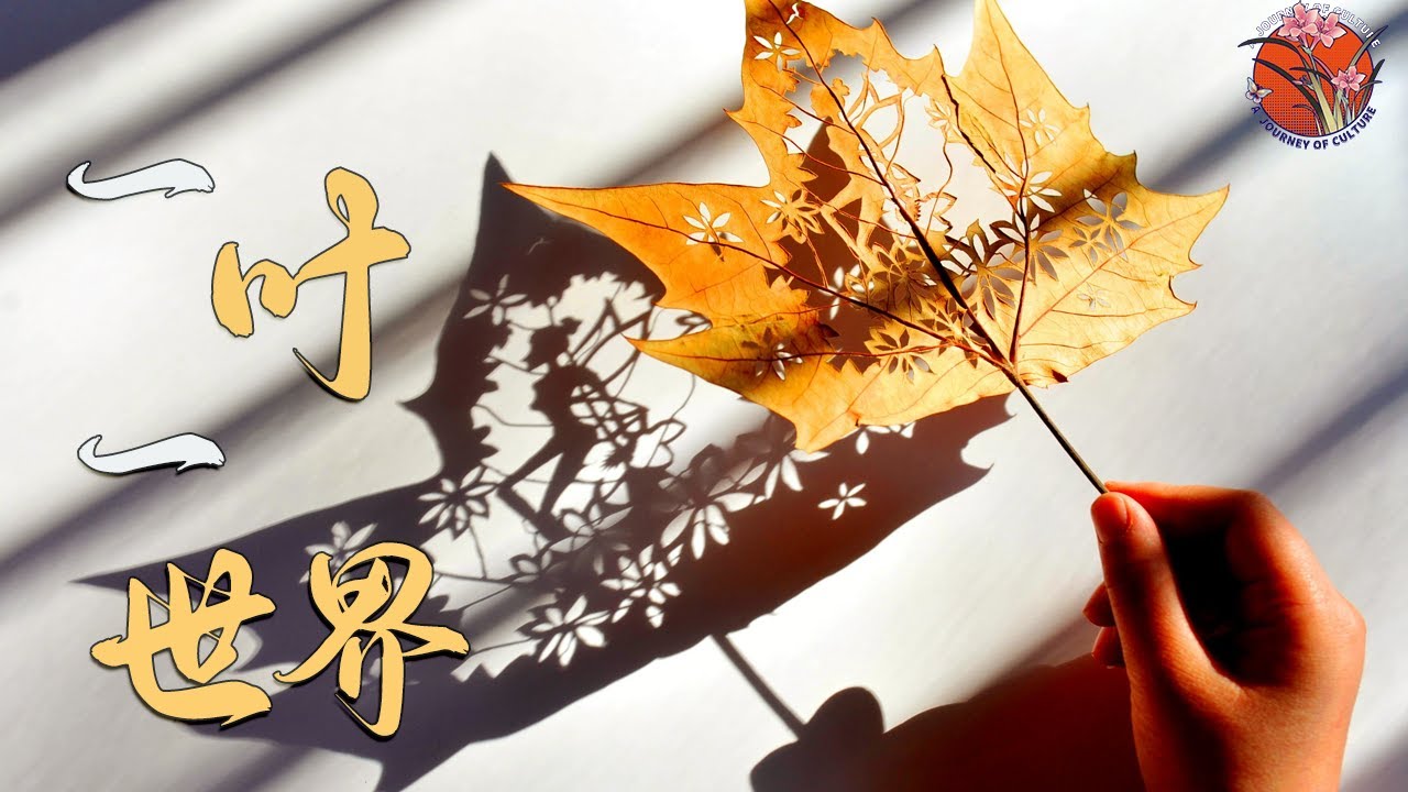 一片叶子的华丽转身 ：树叶上的唯美&ldquo;雕刻&rdquo; 一叶一世界！简直美呆了!