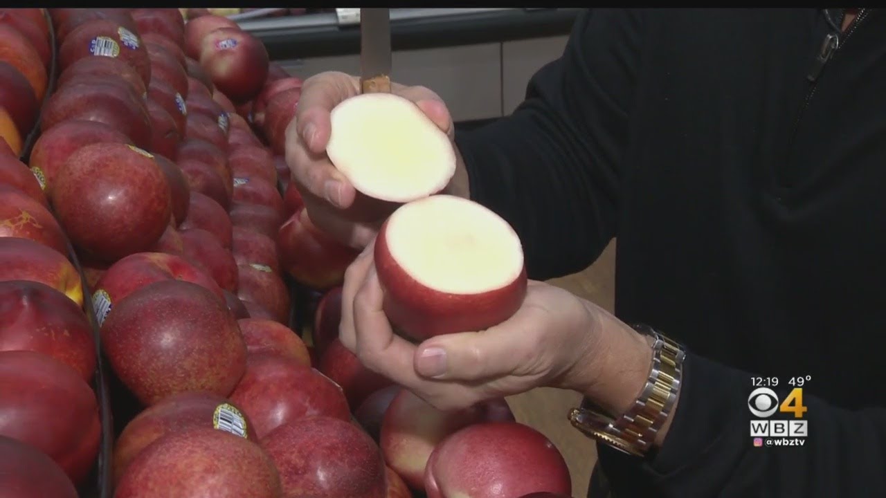 Fresh Grocer: White Nectarines