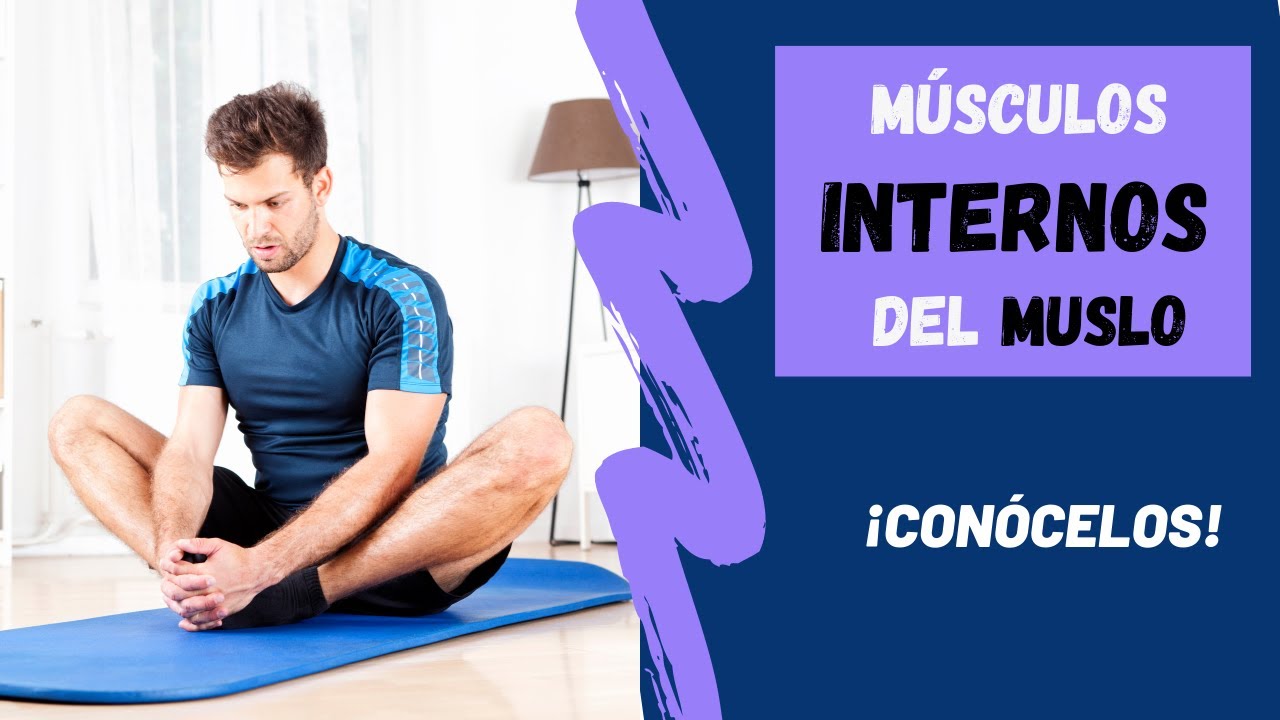 ADUCTORES, RECTO INTERNO… ✅Conoce los Músculos INTERNOS del Muslo