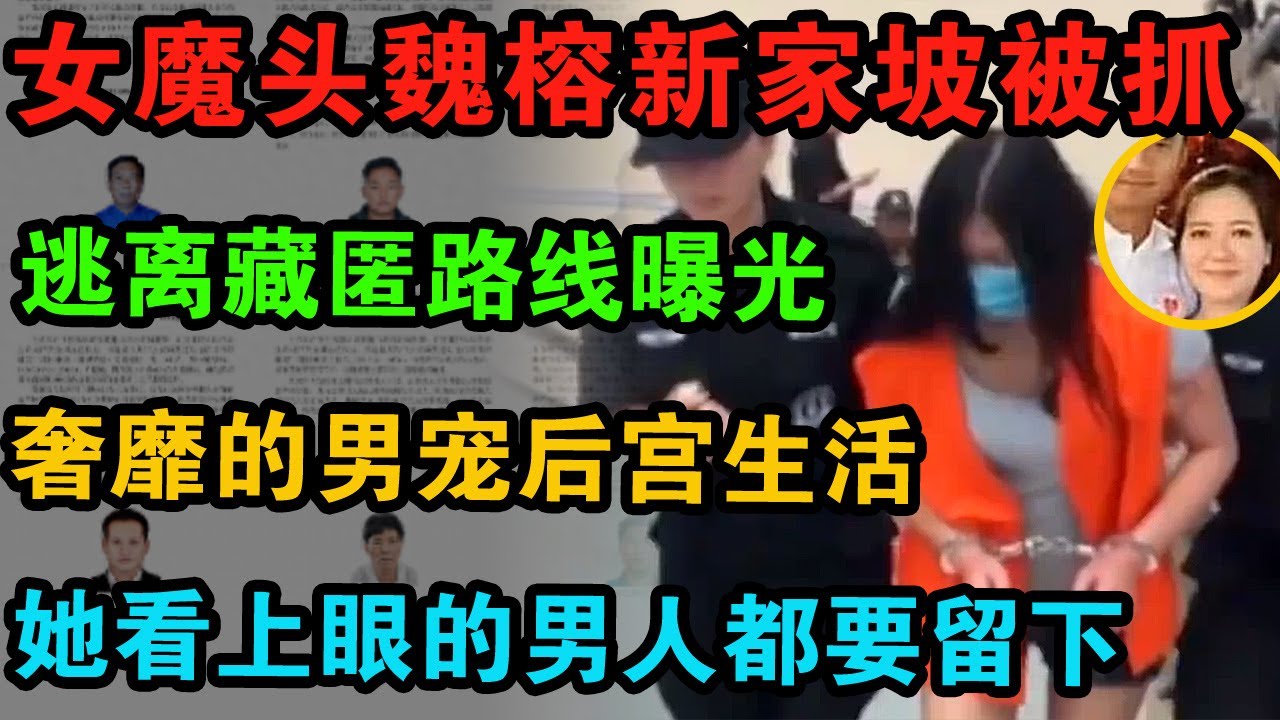 【必看！】魏榕竟是整容出逃，被抓后第一时间就被移交给了中方。为什么她不选择在东南亚的其他国家藏匿？ | 中国刑事大案 | 电视剧 | 江湖李白 | X調查 | wayne調查