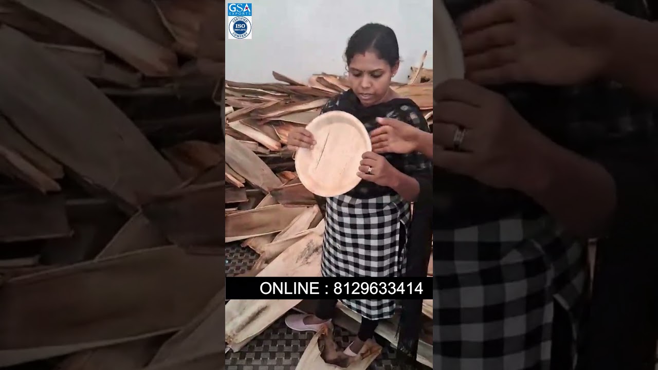 BEST LEAF PLATES | ARECA PLATE MAKING | TUTORIAL | HOW TO SALES MARKETING PRODUCTS #machine #food