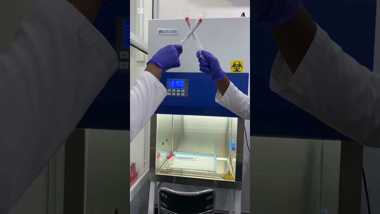From Sample to Results #science #scientist #lab #lablife #mindray #diagnosis #trendingvideo #viral