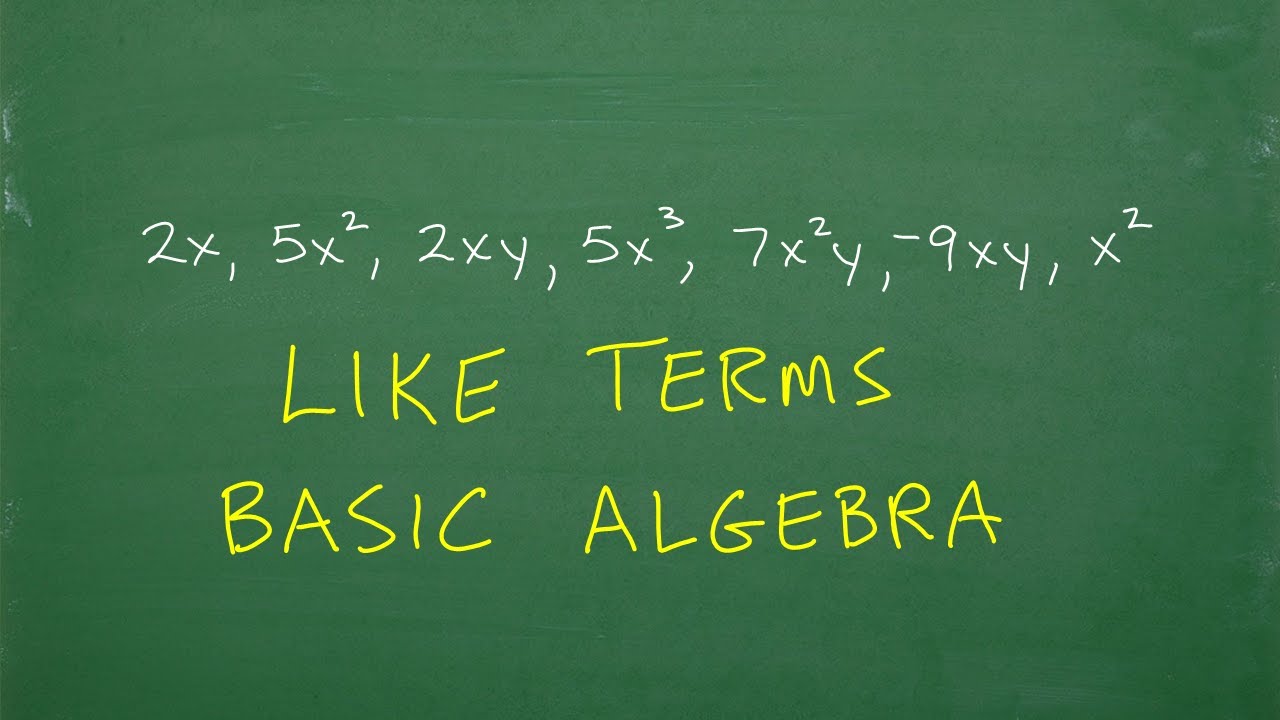 Like Terms- Basic Algebra MINI Lesson
