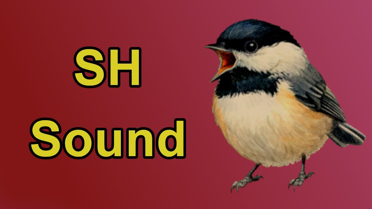 The SH Sound Sonnet | Phonemic Awareness Poetry