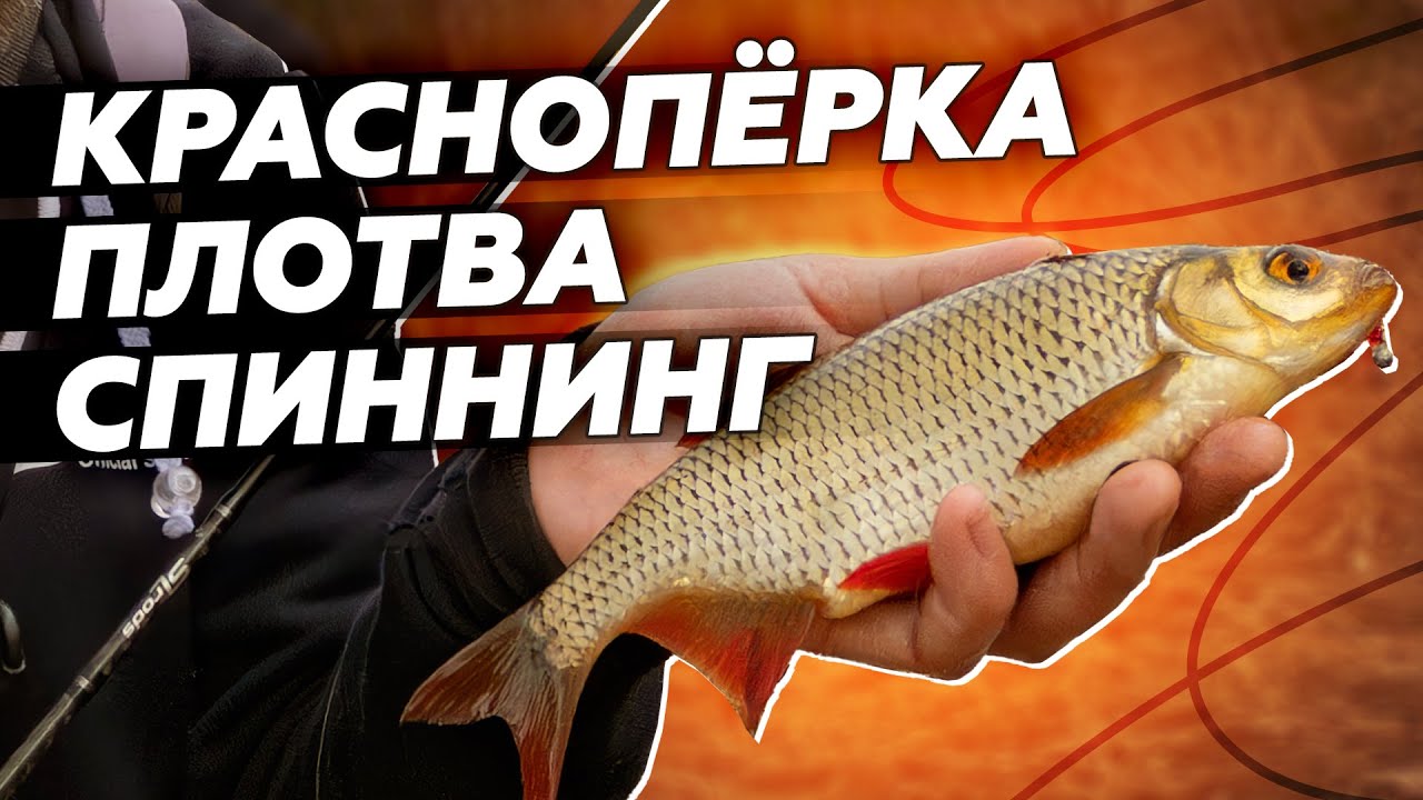 Краснопёрка, карась, плотва, уклейка и окунь на спиннинг в мае! Мормышка. SLrods Atria trout.