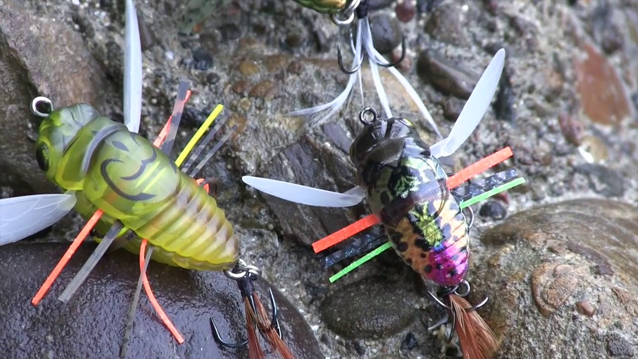 Topwater Chubbin` with Shinmushi