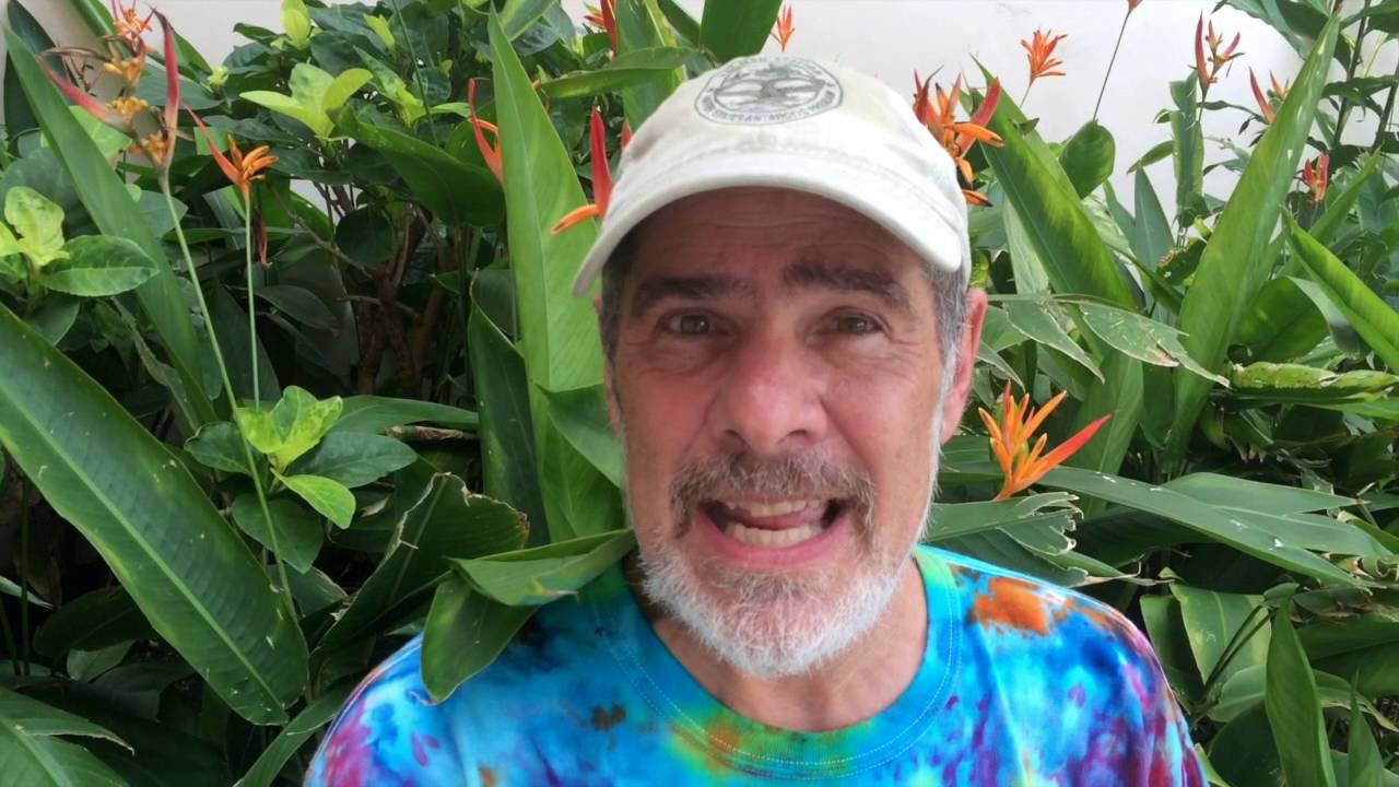 Doug Green: a personal view on p53