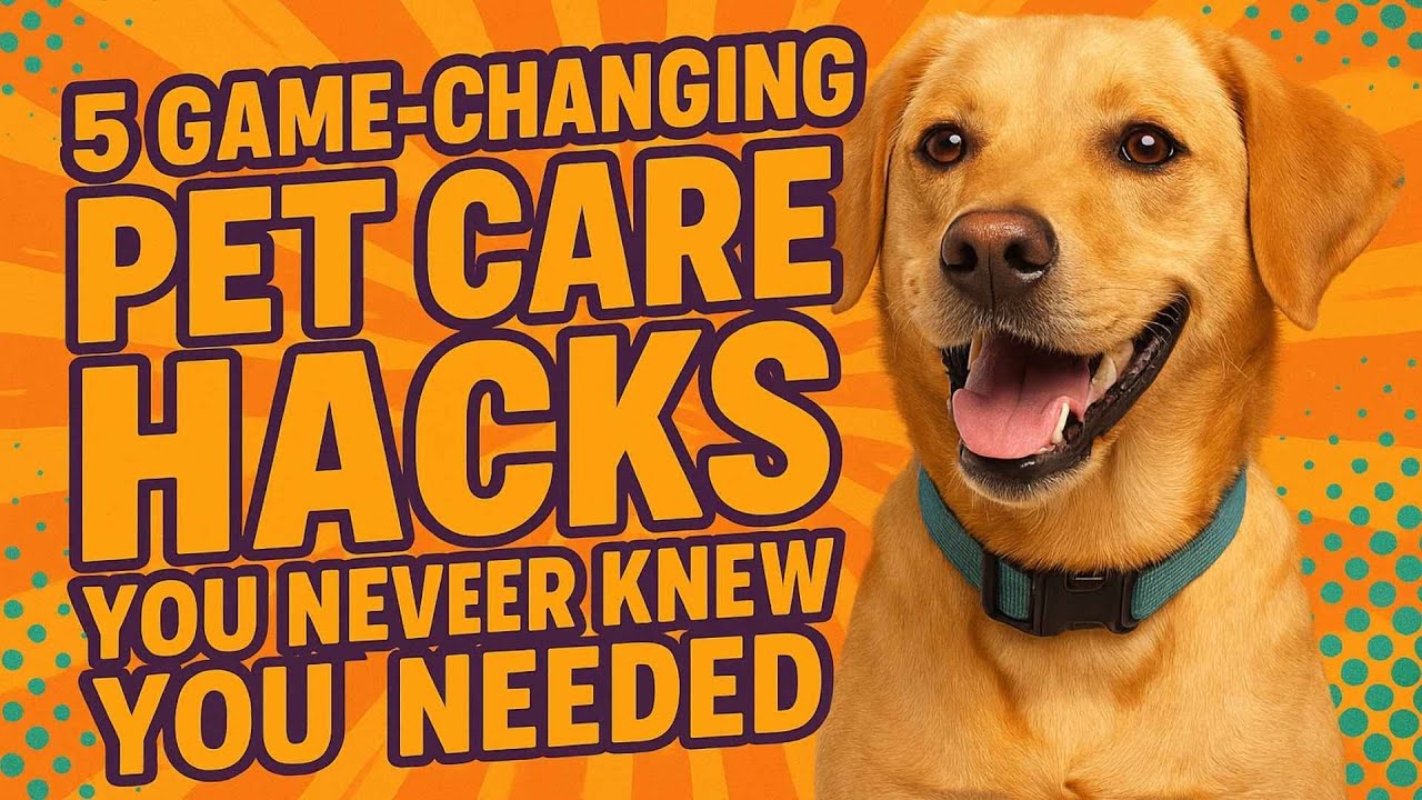 5 Surprising Ways to Help Your Furry Friend Beat the Heat