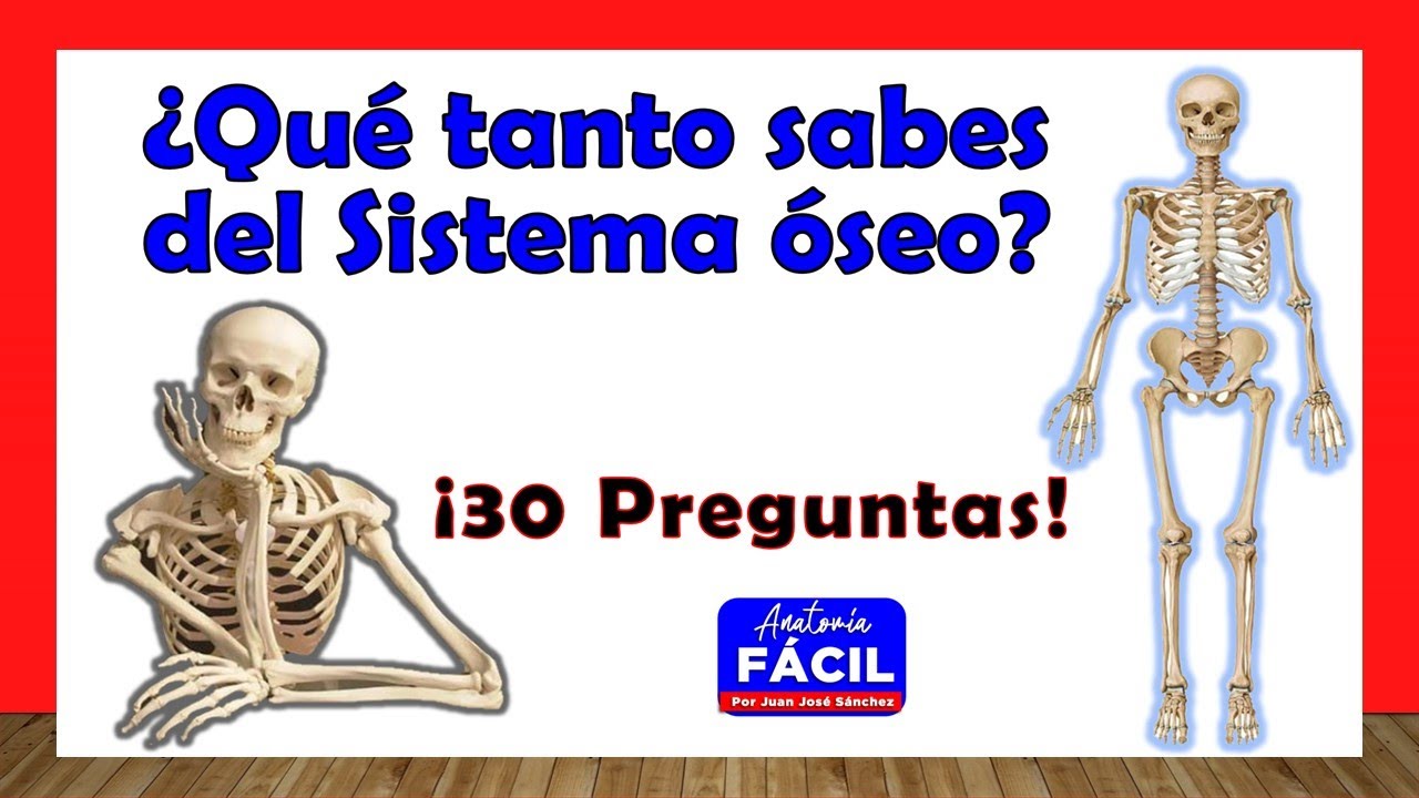 🥇¿QUÉ TANTO SABES DEL SISTEMA ÓSEO? ¡ Test de 30 Preguntas!