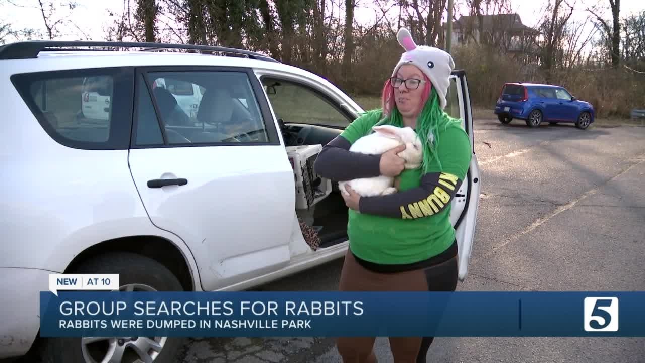 Group rescues more than a dozen rabbits abandoned in Nashville