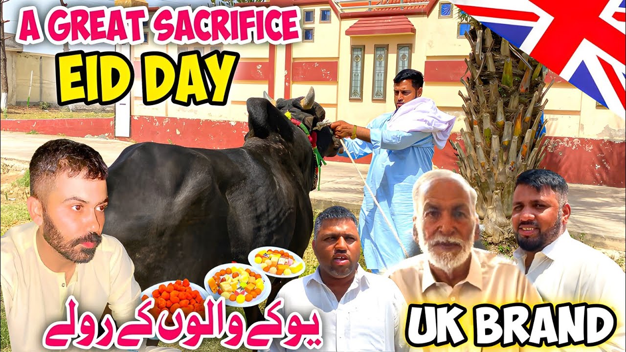 A great sacrifice Eid Day|Uk brand |The UK ones are brands|Mohra malkan dadyal khadimabad Drone shot