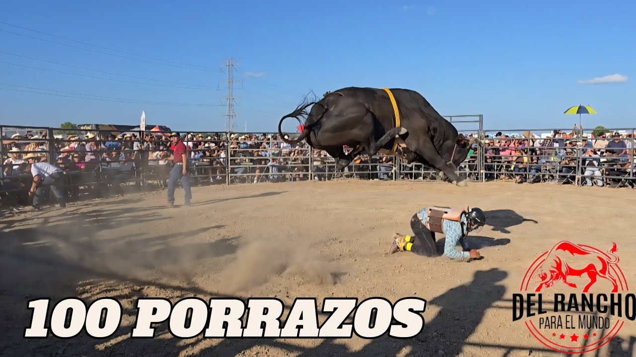 100 MONTAS, 100 PORRAZOS TORAZOS Y NO PEDAZOS USA 2025!!!