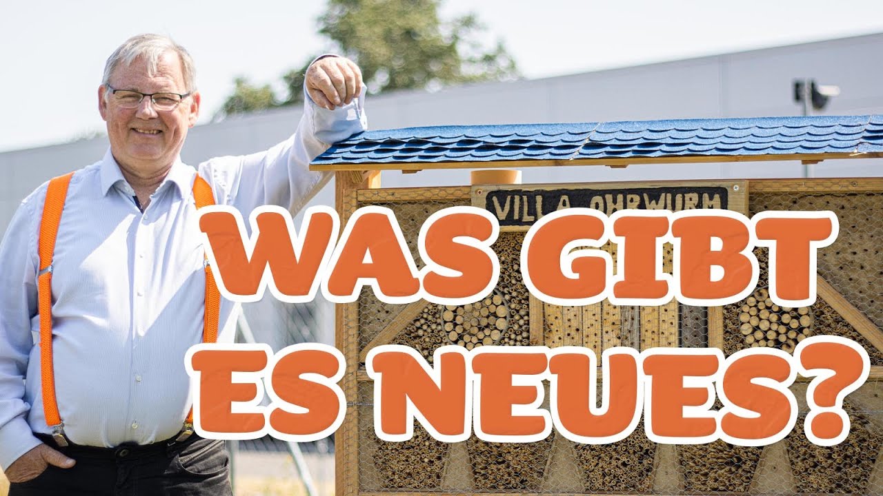 1 Jahr in der Neuen Spreestra&szlig;e 2